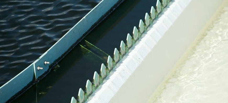 Gilufloc – Kuriflock